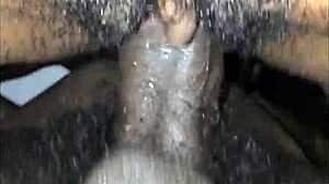 Karkea ja karvainen lutka saa sisäänsä spermaa kotitekoisessa videossa
