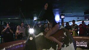 Garotas quentes de lingerie cavalgando touros em um bar local