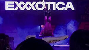 Anastasia Dior celebrates Exxxotica's 15th anniversary in Edison, NJ